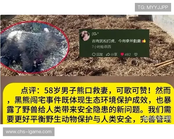 黑熊突袭的10分钟，一个家庭悲剧降临，黑熊袭击军营的电影片名